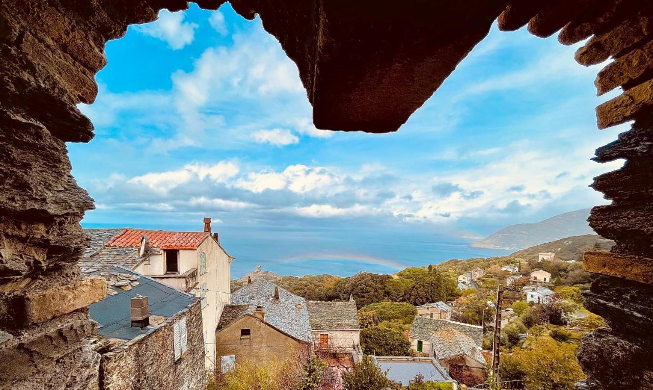 Torra Di Ciocce Bed & Breakfast Pino Eksteriør bilde